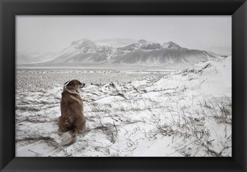 Framed Snowstorm Print