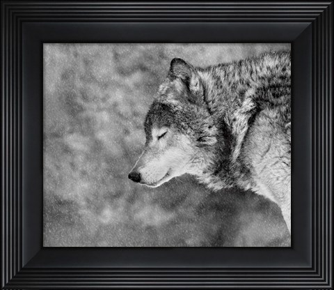 Framed Let It Snow Print