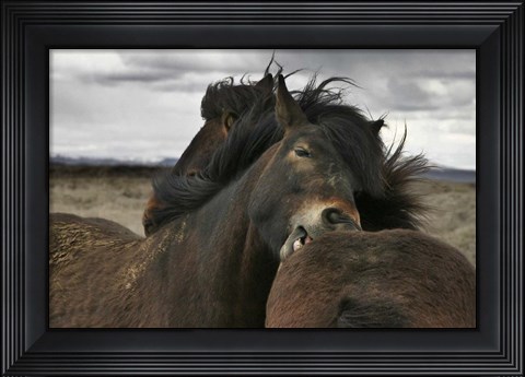 Framed Close Print