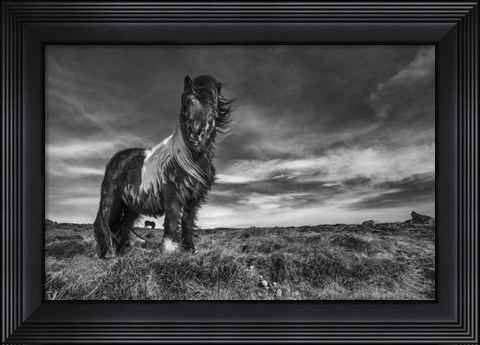 Framed Two Of A Kind Print