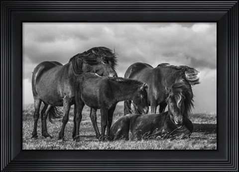 Framed Happy Family Print