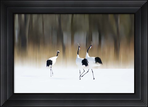 Framed Sing A Song Of Love Print