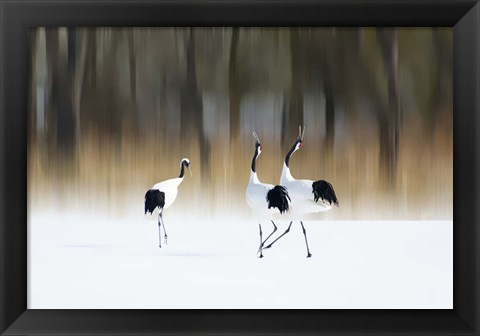 Framed Sing A Song Of Love Print