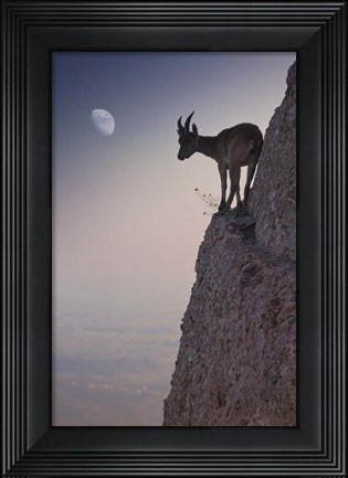 Framed By A Bouquet Of Flowers Print
