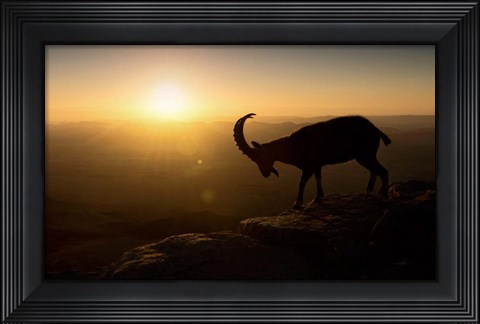 Framed Desert Wanderer Print