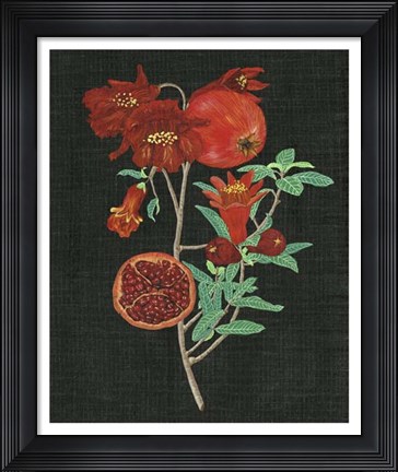 Framed Pomegranate Study I Print
