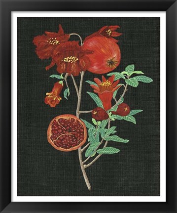 Framed Pomegranate Study I Print