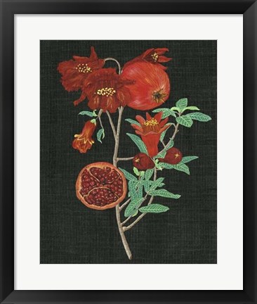 Framed Pomegranate Study I Print