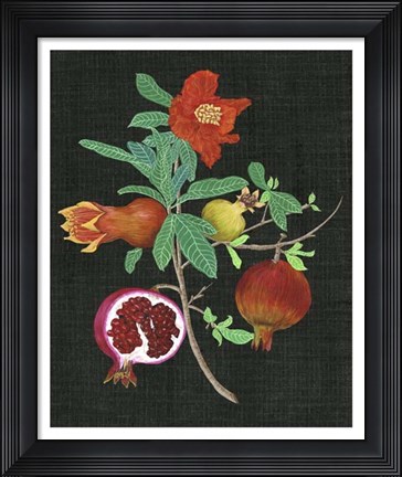 Framed Pomegranate Study II Print