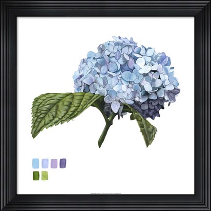 Framed Brighton Blooms I Print