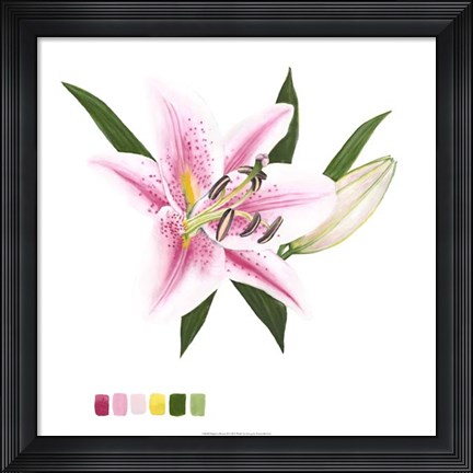 Framed Brighton Blooms II Print