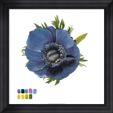 Framed Brighton Blooms III Print