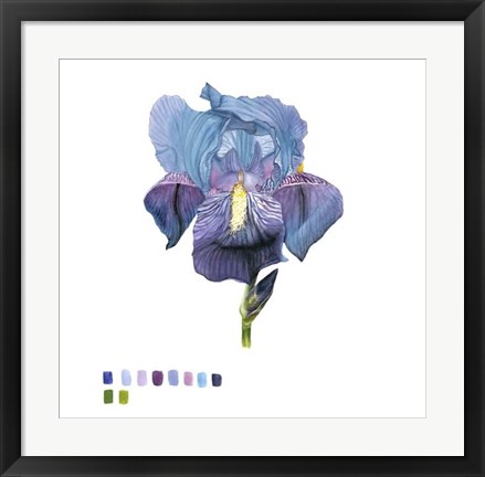 Framed Brighton Blooms IV Print