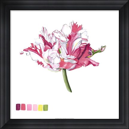 Framed Brighton Blooms V Print