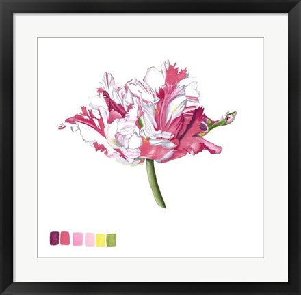 Framed Brighton Blooms V Print