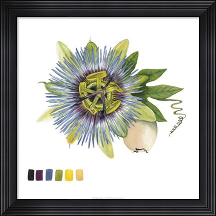 Framed Brighton Blooms VI Print