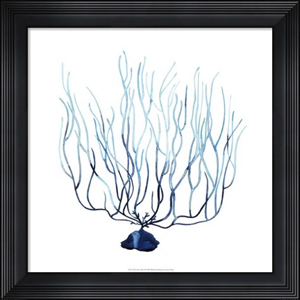 Framed Fan de la Mer I Print