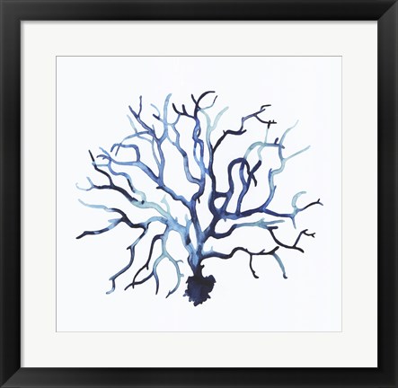 Framed Fan de la Mer II Print