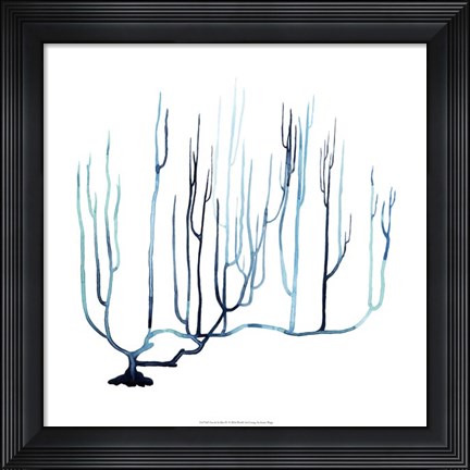 Framed Fan de la Mer IV Print