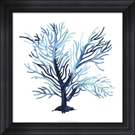 Framed Fan de la Mer V Print