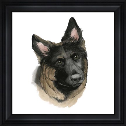 Framed Human&#39;s Best Friend II Print