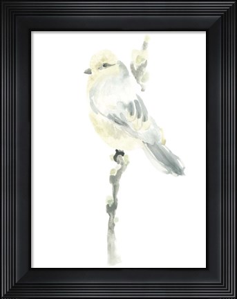 Framed Avian Impressions I Print