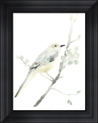 Framed Avian Impressions II Print