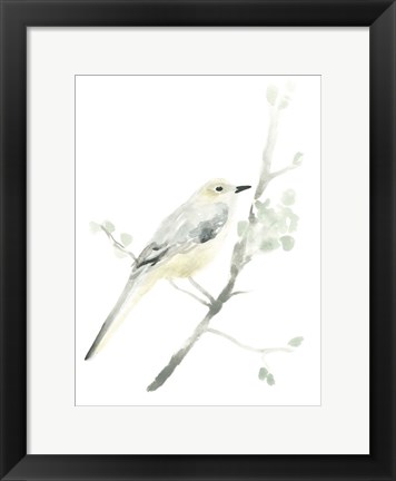 Framed Avian Impressions II Print