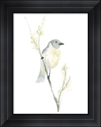 Framed Avian Impressions III Print