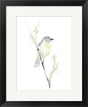 Framed Avian Impressions III Print