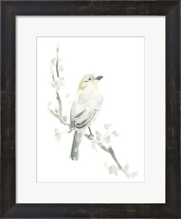 Framed Avian Impressions IV Print