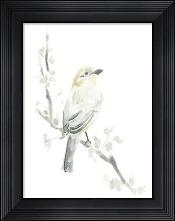 Framed Avian Impressions IV Print