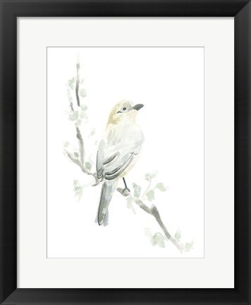 Framed Avian Impressions IV Print