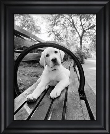 Framed Never Doubt That You Can Print