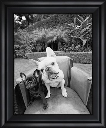 Framed Always Friends Print