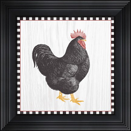 Framed Home to Roost III Print