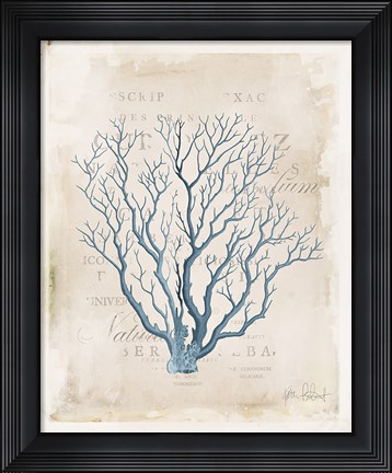 Framed Sea Garden V Print