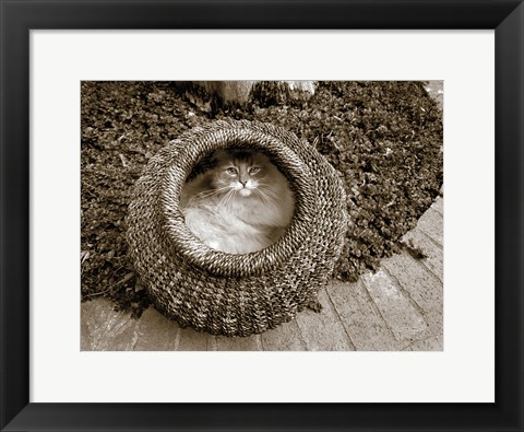 Framed Cat in a Basket Print