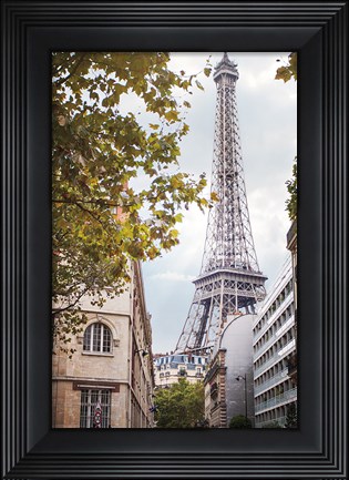 Framed Eiffel View II Print