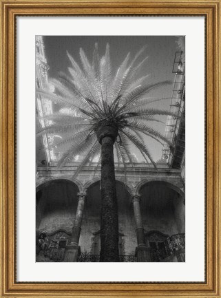Framed Palermo Print