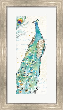 Framed Peacock Garden III Print