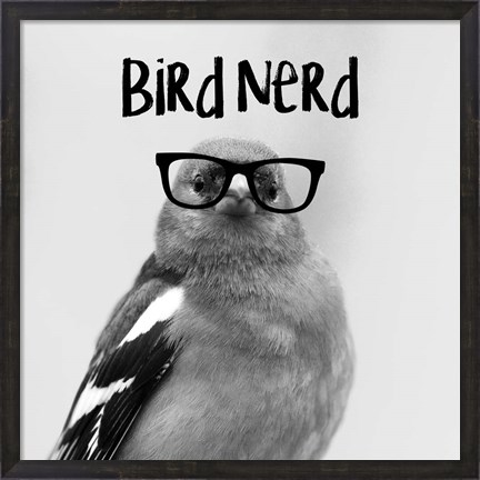 Framed Bird Nerd - Chaffinch Print