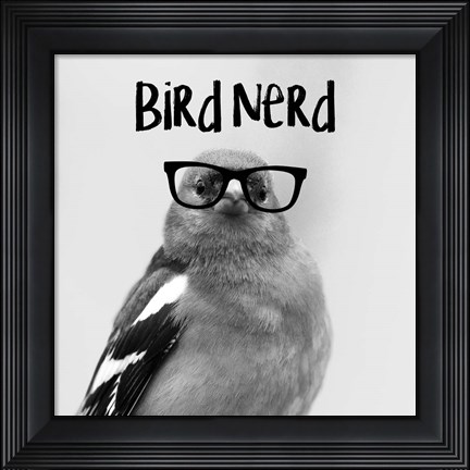 Framed Bird Nerd - Chaffinch Print