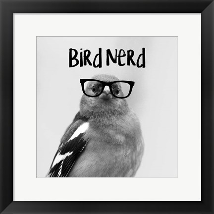 Framed Bird Nerd - Chaffinch Print