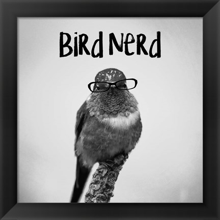 Framed Bird Nerd - Hummingbird Print
