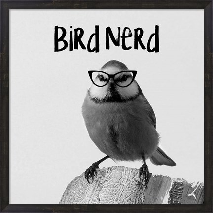Framed Bird Nerd - Blue Tit Print