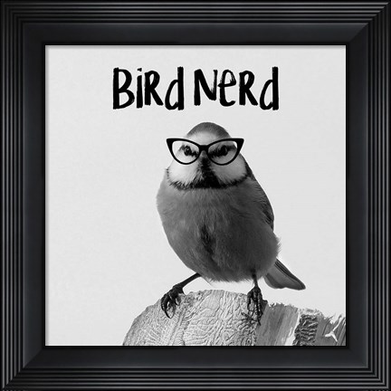 Framed Bird Nerd - Blue Tit Print