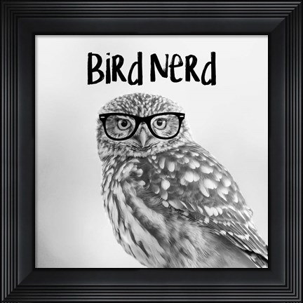 Framed Bird Nerd - Owl Print