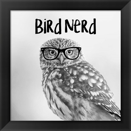 Framed Bird Nerd - Owl Print