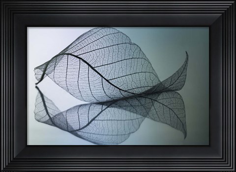 Framed Curvaceousness Print